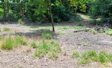 Las Pataguas/Pasaje El Roble - Parcela - Venta