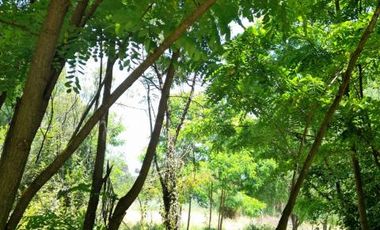 Las Pataguas/Pasaje El Roble - Parcela - Venta