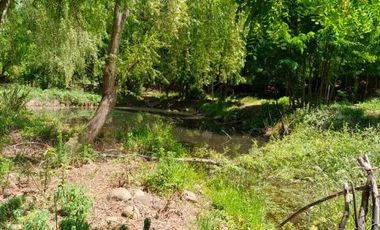Las Pataguas/Pasaje El Roble - Parcela - Venta