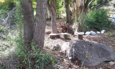 Las Pataguas/Pasaje El Roble - Parcela - Venta