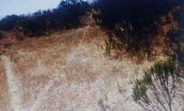 Ruta I 72/Fundo La Aguada de Bucalemu - Parcela - Venta