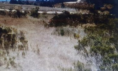 Ruta I 72/Fundo La Aguada de Bucalemu - Parcela - Venta