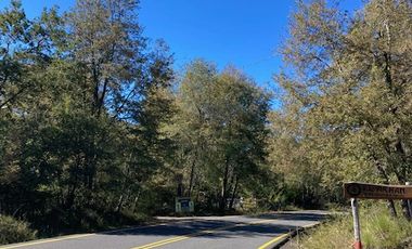 Los Canelos/Los Peumos - Parcela - Venta