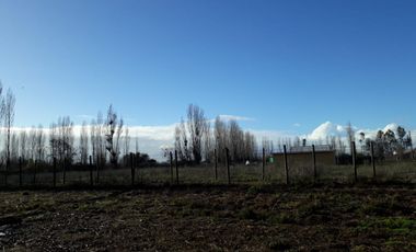 Ruta 5 Sur/Huenutil del Peumo - Agricola - Venta