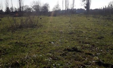 Ruta 5 Sur/Huenutil del Peumo - Agricola - Venta