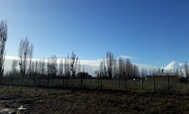 Ruta 5 Sur/Huenutil del Peumo - Agricola - Venta
