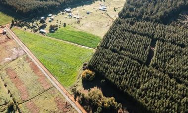Camino San Ignacio/Camino Pinto - Parcela - Venta