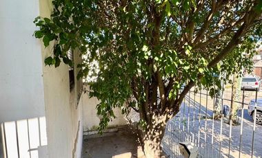 A la Venta PH a Refaccionar en Villa Domínico