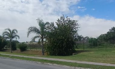 Alquiler Galpón Deposito San Fernando Tigre 500m2