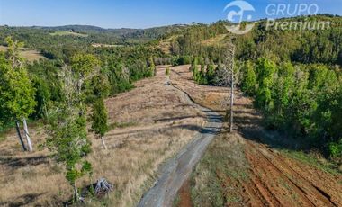 Parcela en Venta en LITRORO S/N LA COLONIA, LOS MUERMOS