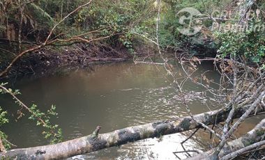 Parcela en Venta en LITRORO S/N LA COLONIA, LOS MUERMOS