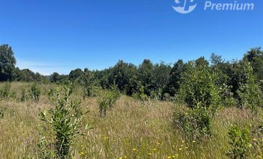 Parcela en Venta en LITRORO S/N LA COLONIA, LOS MUERMOS