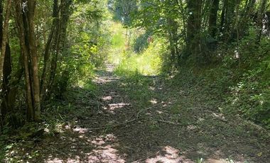 Parcela en Venta en LITRORO S/N LA COLONIA, LOS MUERMOS