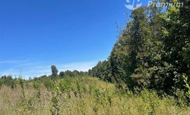 Parcela en Venta en LITRORO S/N LA COLONIA, LOS MUERMOS