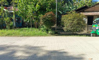 1858 sqm lot for sale in decayo, katipunan