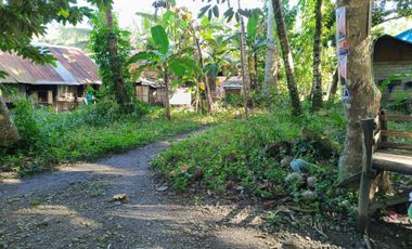 1858 sqm lot for sale in decayo, katipunan