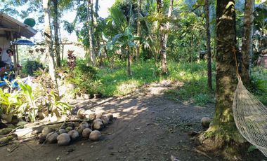 1858 sqm lot for sale in decayo, katipunan