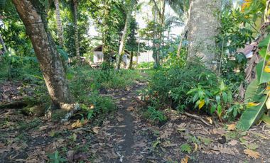 1858 sqm lot for sale in decayo, katipunan