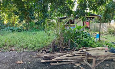 1858 sqm lot for sale in decayo, katipunan