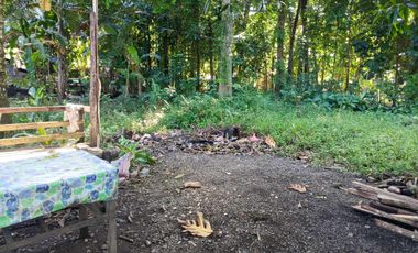 1858 sqm lot for sale in decayo, katipunan