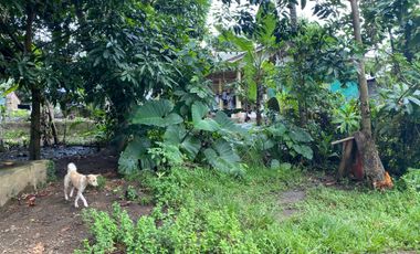 FOR SALE RESIDENTIAL LOT