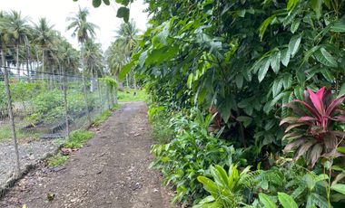 FOR SALE RESIDENTIAL LOT