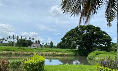 Lot for Sale in Hacienda Escudero- Tiaong Quezon