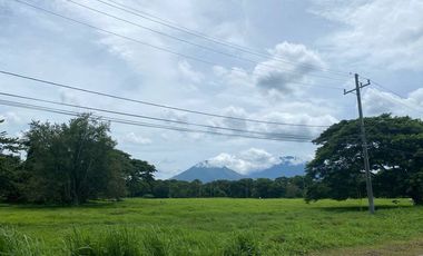 Lot for Sale in Hacienda Escudero- Tiaong Quezon