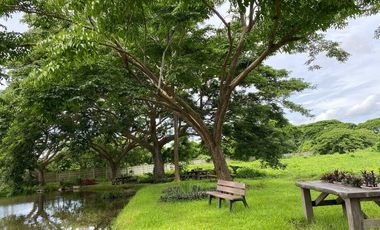 Lot for Sale in Hacienda Escudero- Tiaong Quezon