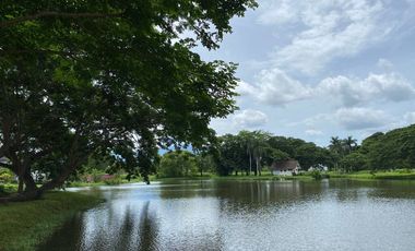 Lot for Sale in Hacienda Escudero- Tiaong Quezon