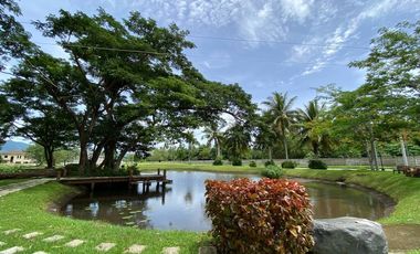 Lot for Sale in Hacienda Escudero- Tiaong Quezon