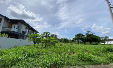 Lot for Sale in Hacienda Escudero- Tiaong Quezon