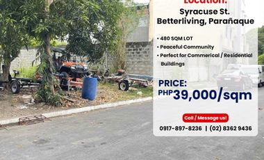 Residential Lot in Parañaque (480sqm)