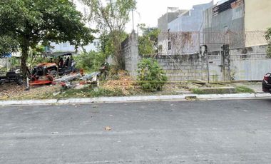 Residential Lot in Parañaque (480sqm)