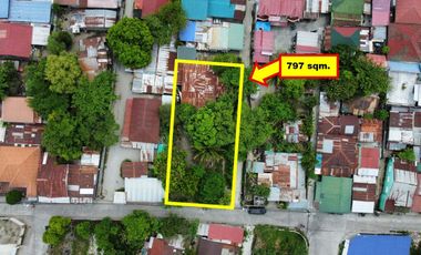 Residential Lot for Sale (with House): Maliwalo, Tarlac