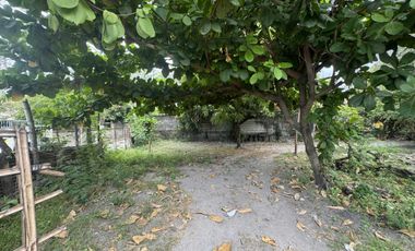 Residential Lot for Sale (with House): Maliwalo, Tarlac