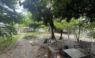 Residential Lot for Sale (with House): Maliwalo, Tarlac