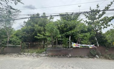 Residential Lot for Sale (with House): Maliwalo, Tarlac