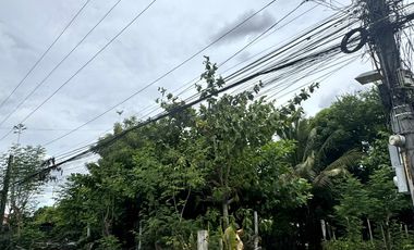 Residential Lot for Sale (with House): Maliwalo, Tarlac