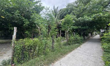 Residential Lot for Sale (with House): Maliwalo, Tarlac