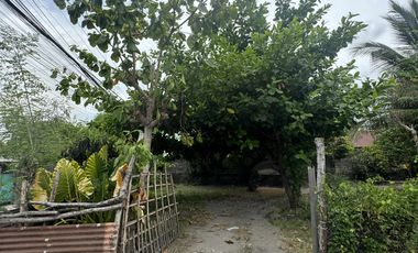 Residential Lot for Sale (with House): Maliwalo, Tarlac