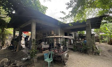 Residential Lot for Sale (with House): Maliwalo, Tarlac