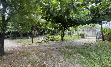Residential Lot for Sale (with House): Maliwalo, Tarlac