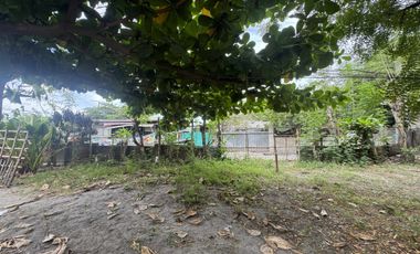 Residential Lot for Sale (with House): Maliwalo, Tarlac