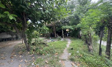 Residential Lot for Sale (with House): Maliwalo, Tarlac