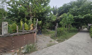Residential Lot for Sale (with House): Maliwalo, Tarlac