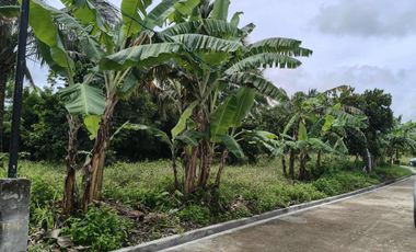 1,364 sqm lot for sale in Brgy Talon Amadeo Cavite