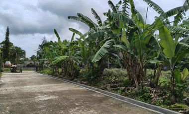 1,364 sqm lot for sale in Brgy Talon Amadeo Cavite