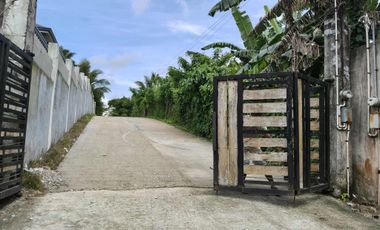 1,364 sqm lot for sale in Brgy Talon Amadeo Cavite