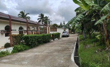 1,364 sqm lot for sale in Brgy Talon Amadeo Cavite